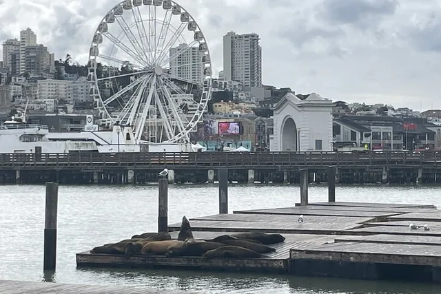 San Francisco Highlights & Stanford Shopping Tour - Image 4