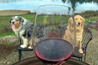 Willamette Valley Wine Tour thumbnail 6