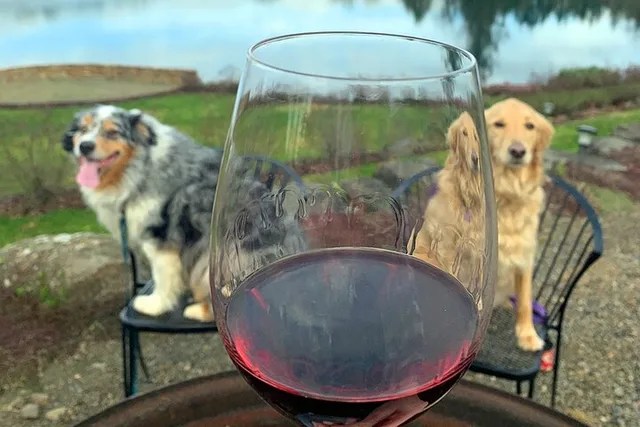 Willamette Valley Wine Tour - Image 6