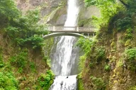 Portland Mt Hood & Columbia River Gorge Waterfalls Tour thumbnail 5