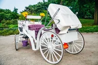 New York City Central Park Horse Carriage Ride thumbnail 5