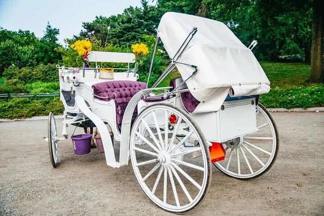 New York City Central Park Horse Carriage Ride - Image 5