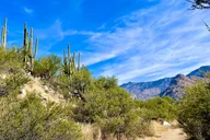 Catalina State Park Horseback Ride thumbnail 4