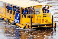 Tampa Pirate Water Taxi Tour thumbnail 6