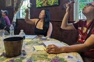 Washington DC Virginia Wine Country Tour thumbnail 2