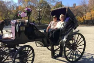 NYC Central Park Horse and Carriage Ride thumbnail 3