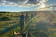 Lake Louisa Horseback Ride thumbnail 2