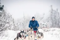 Fairbanks Dog Sledding Adventure thumbnail 5