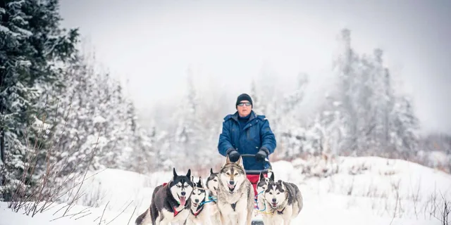 Fairbanks Dog Sledding Adventure - Image 5