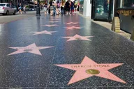 Los Angeles Private Guided Tour thumbnail 2