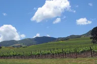Santa Barbara Wine Country Private Tour thumbnail 3