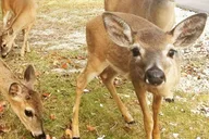 Key West Wildlife and Nature Day Tour thumbnail 4
