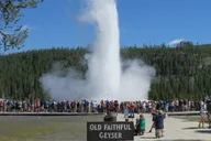 Jackson Hole Yellowstone Lower Loop Private Tour thumbnail 2