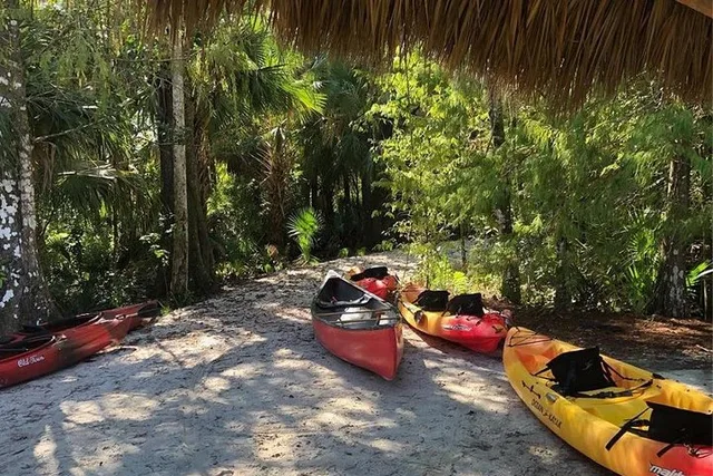 Loxahatchee River Guided Kayak Tour - Image 5
