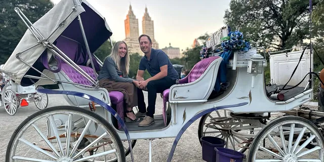 New York Central Park Horse Carriage Ride - Image 6