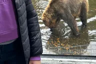 Sitka Private Land and Bear Tour thumbnail 1