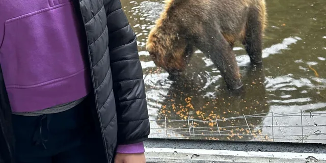 Sitka Private Land and Bear Tour - Image 1