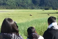 Anchorage Bear Viewing Airplane Adventure thumbnail 2