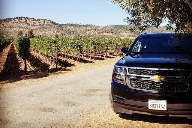 Sonoma Valley Wine Tasting Private Tour 6 hr - Image 2