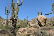 Scottsdale Mountain Bike Tour in Sonoran Desert 2 hr thumbnail 3