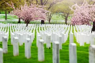 Washington DC Arlington Cemetery and Night Bus Tour thumbnail 3