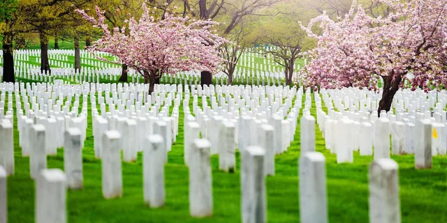 Washington DC Arlington Cemetery and Night Bus Tour - Image 3
