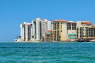 Clearwater Beach Dolphin Excursion 1.5 hr thumbnail 4