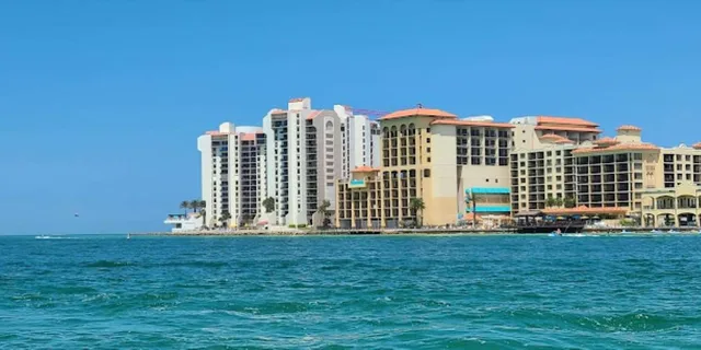 Clearwater Beach Dolphin Excursion 1.5 hr - Image 4