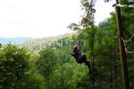 Sevierville Mountain Zip Lining Adventure thumbnail 2