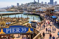 San Francisco Private Walking Tour with a Local thumbnail 2