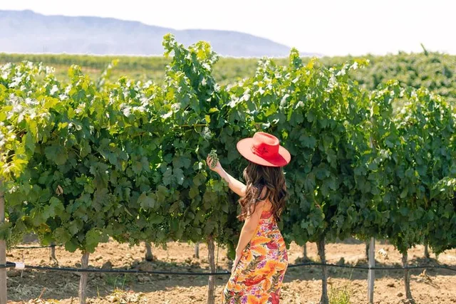 Santa Barbara Wine Tour in Santa Ynez Valley - Image 2