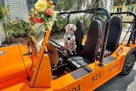 St. Augustine Scavenger Hunt in Electric Moke thumbnail 3