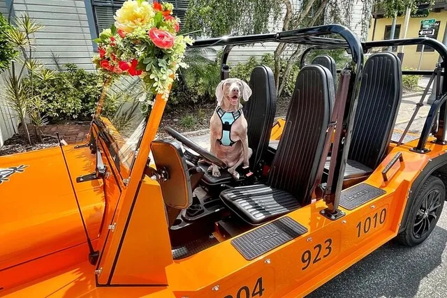St. Augustine Scavenger Hunt in Electric Moke - Image 3