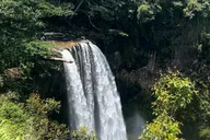 Kauai Waterfalls and Local Grinds Tour thumbnail 4