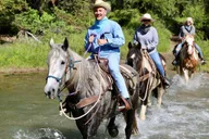 Jackson Horseback Tour with Lunch 4.5 hr thumbnail 2
