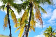 Miami City Private Tour thumbnail 5