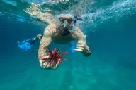 Maui Snorkel Tour with Photos 2.5 hr thumbnail 4