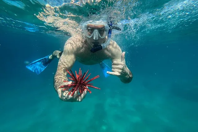 Maui Snorkel Tour with Photos 2.5 hr - Image 4