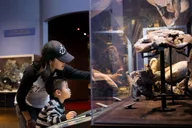 San Diego Natural History Museum Night Entry thumbnail 3