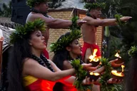Oahu Luau Experience at Sea Life Park thumbnail 1