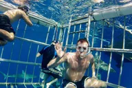 Oahu Shark Dive North Shore 90 Min thumbnail 2