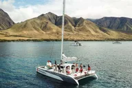 Maui Morning Whale Watching Sail thumbnail 4