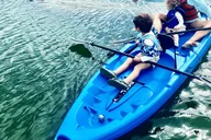 Miami Paddleboard or Kayak Tour in Manatee Season thumbnail 4