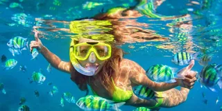 Kailua Kona Snorkeling Tour at Kealakekua Bay 3 hr