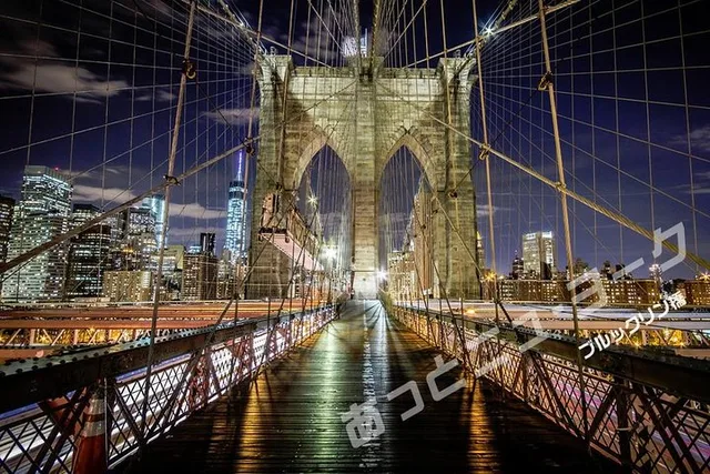 New York City Night Views Tour with Observatory Ticket - Image 5