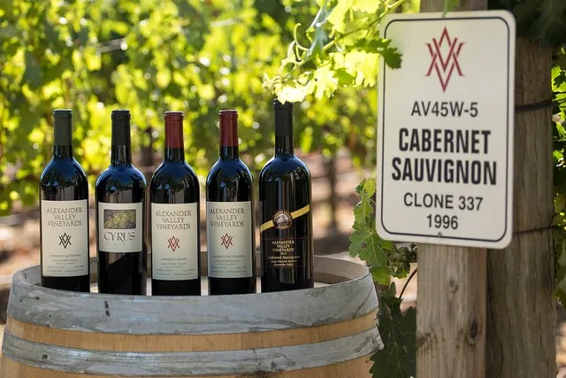 San Francisco Napa Valley Wine Tour - Image 6