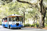 Savannah Land & Sea Combo: Trolley Tour with Riverboat Cruise thumbnail 5