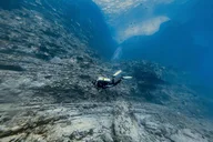 Honolulu Scuba Diving Experience thumbnail 6