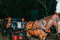 New York City Moonlight Horse Carriage Ride thumbnail 6