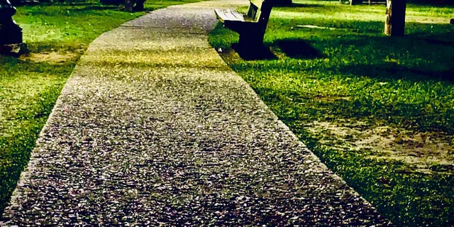 Savannah Paranormal Ghost Walking Tour - Image 5